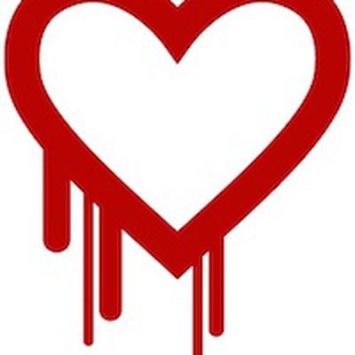 heartbleed 200