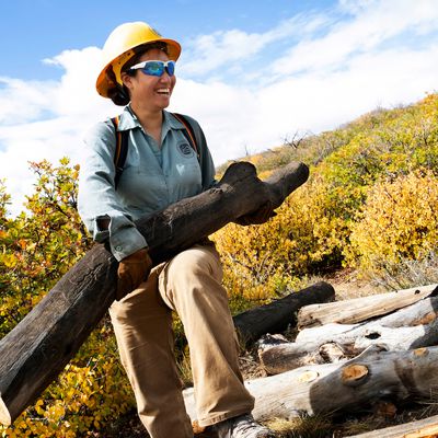 Apple national parks 2022 Mesa Verde Conservation