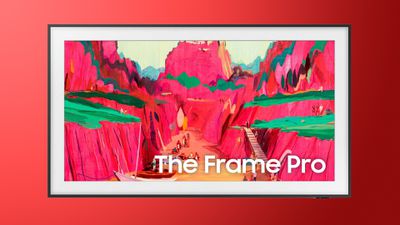 the frame valentine