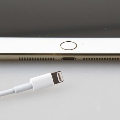 gold ipad mini 2 touch id