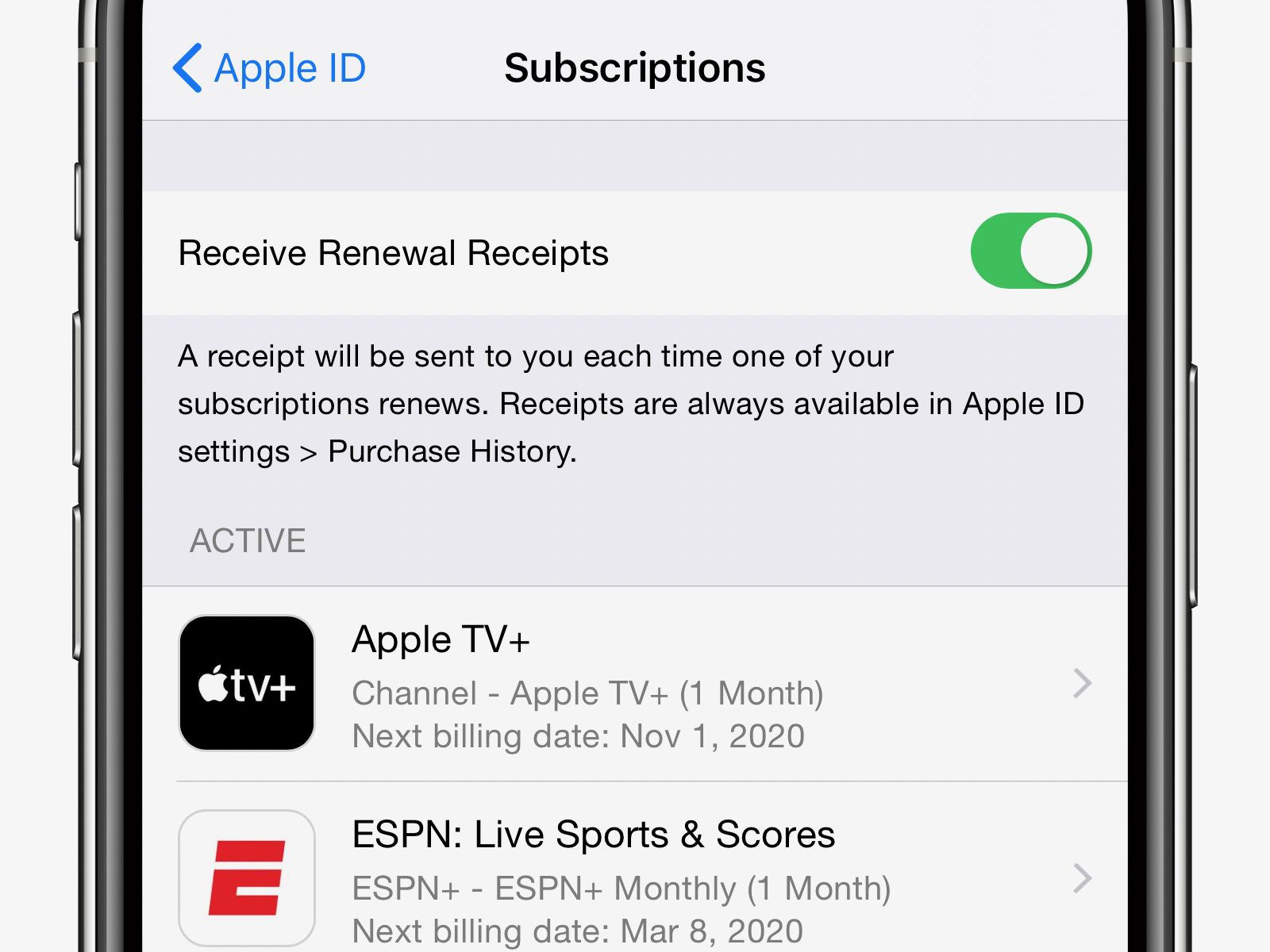 apple receipts