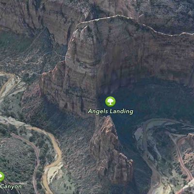 MacRumors content image