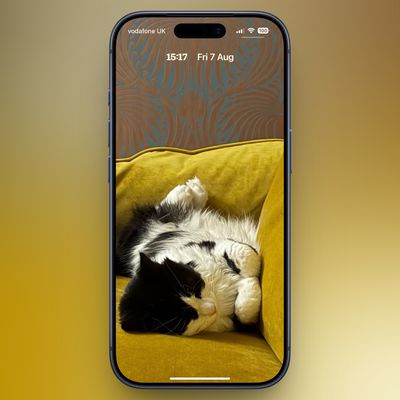 cat couch lock screen clock compact mode