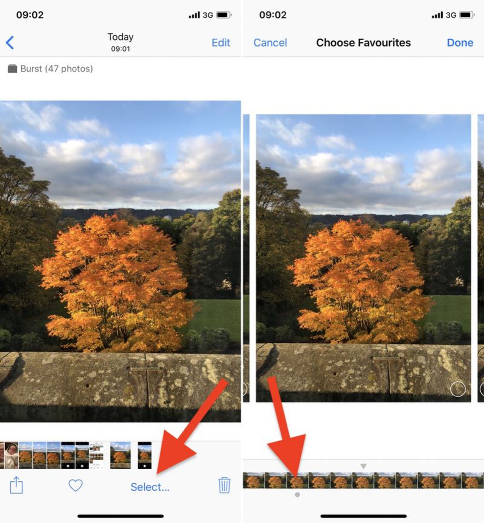 how-to-take-burst-photos-on-iphone-and-ipad-macrumors