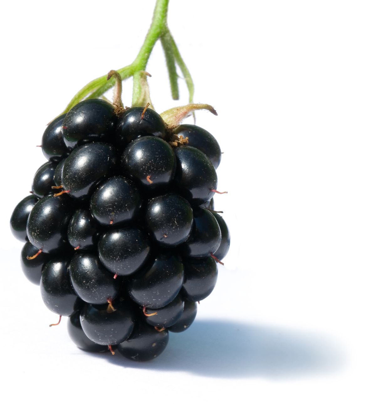 after numerous delays blackberry messenger for ios to launch today image