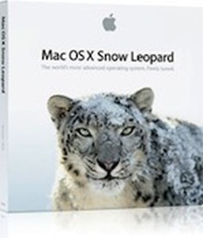 snow leopard box