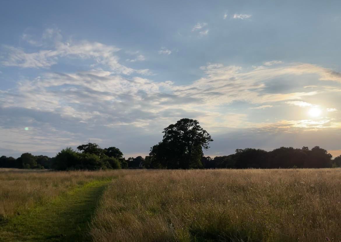 Newest iOS 15 Beta Seems to Instantly Eliminate Lens Flare From Photos