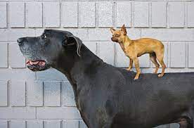 Attachment Image