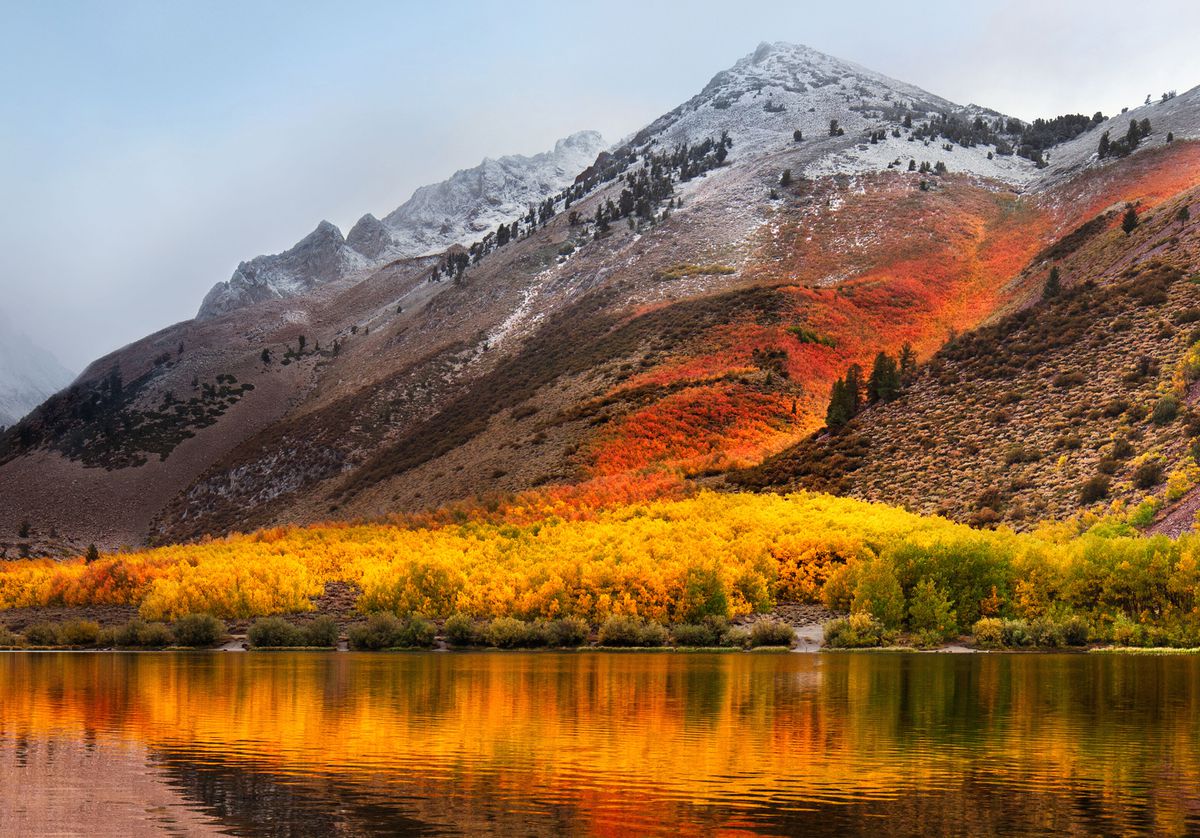 apple seeds first beta of macos high sierra image