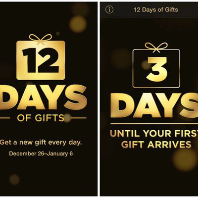 12 days of gifts 2013