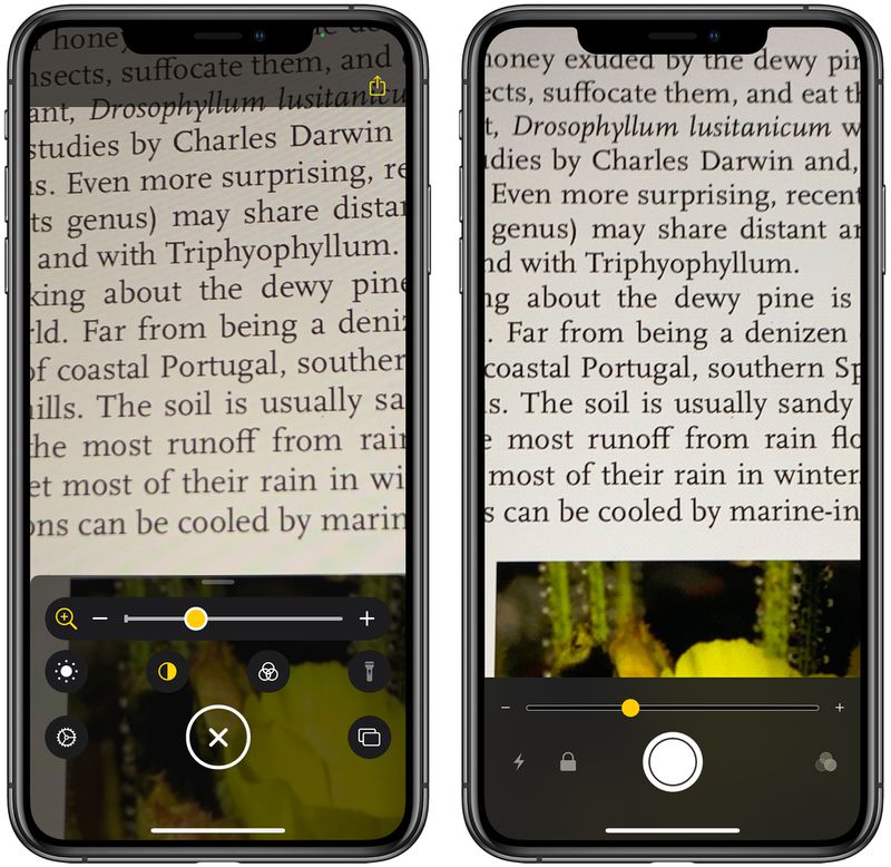 Magnifier in iOS 14 Gets Overhauled UI and New Features, Can Be Added