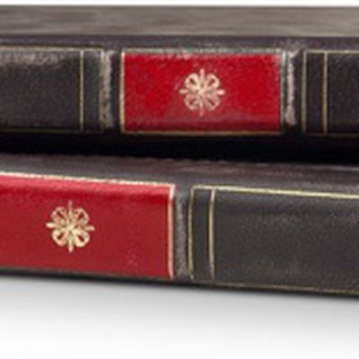 twelvesouthipadprobookbook