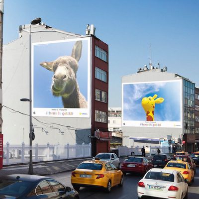 childrens day turkey