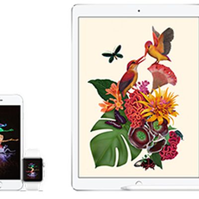 iPhone iPad duo 2015