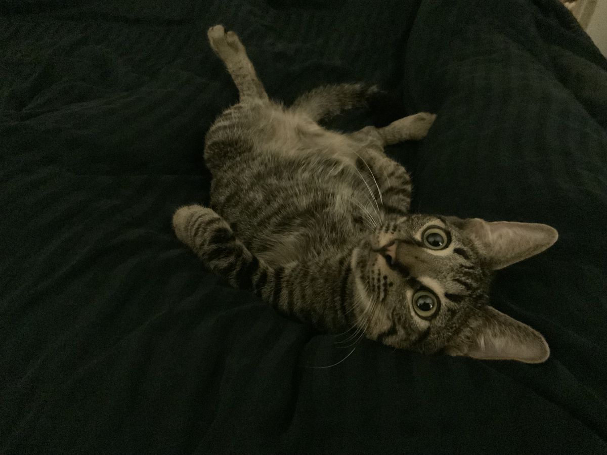 Attachment Image