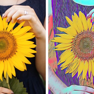 adobe elements artistic effects