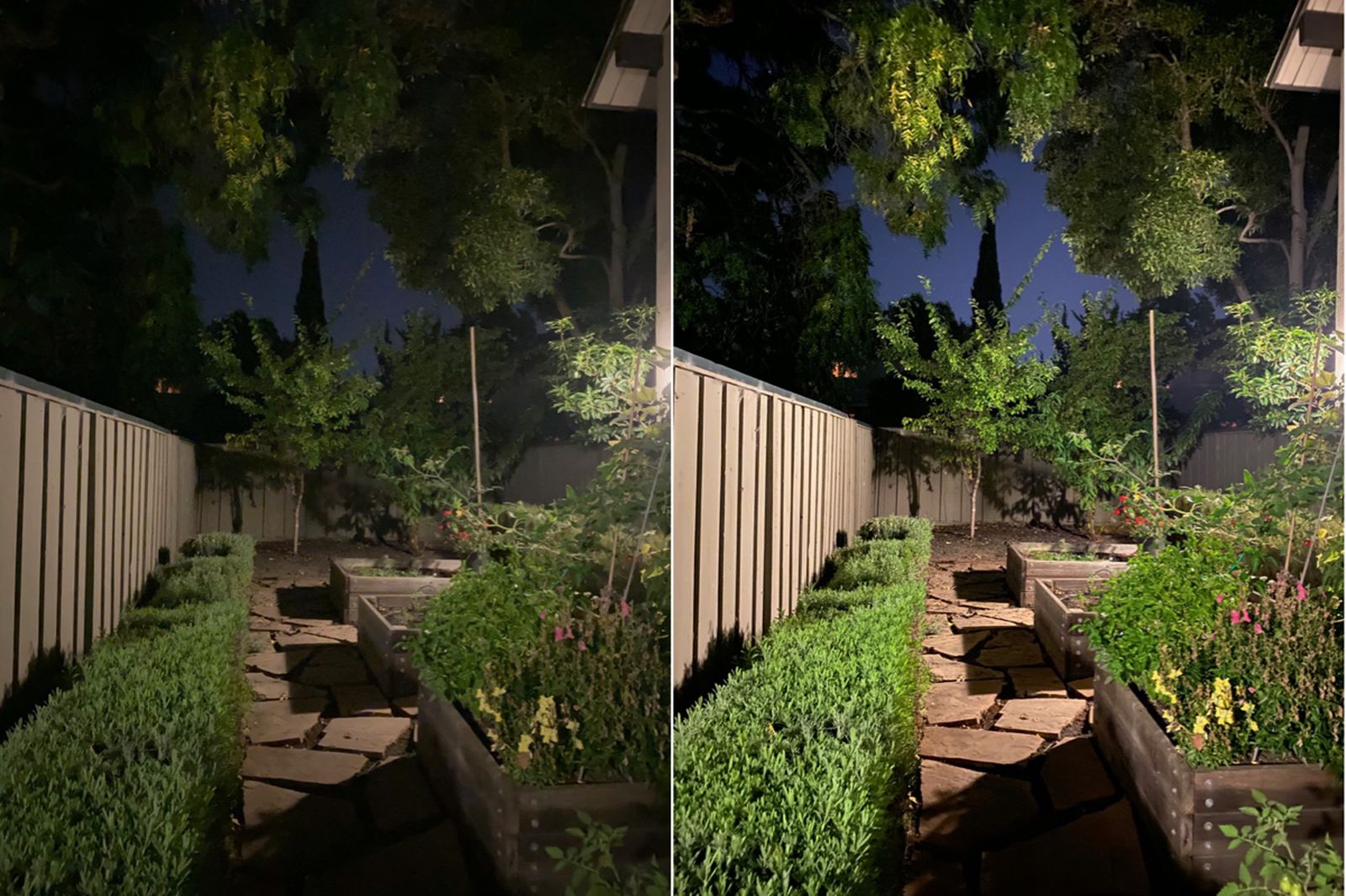 Which iPhone 11 has Night mode?