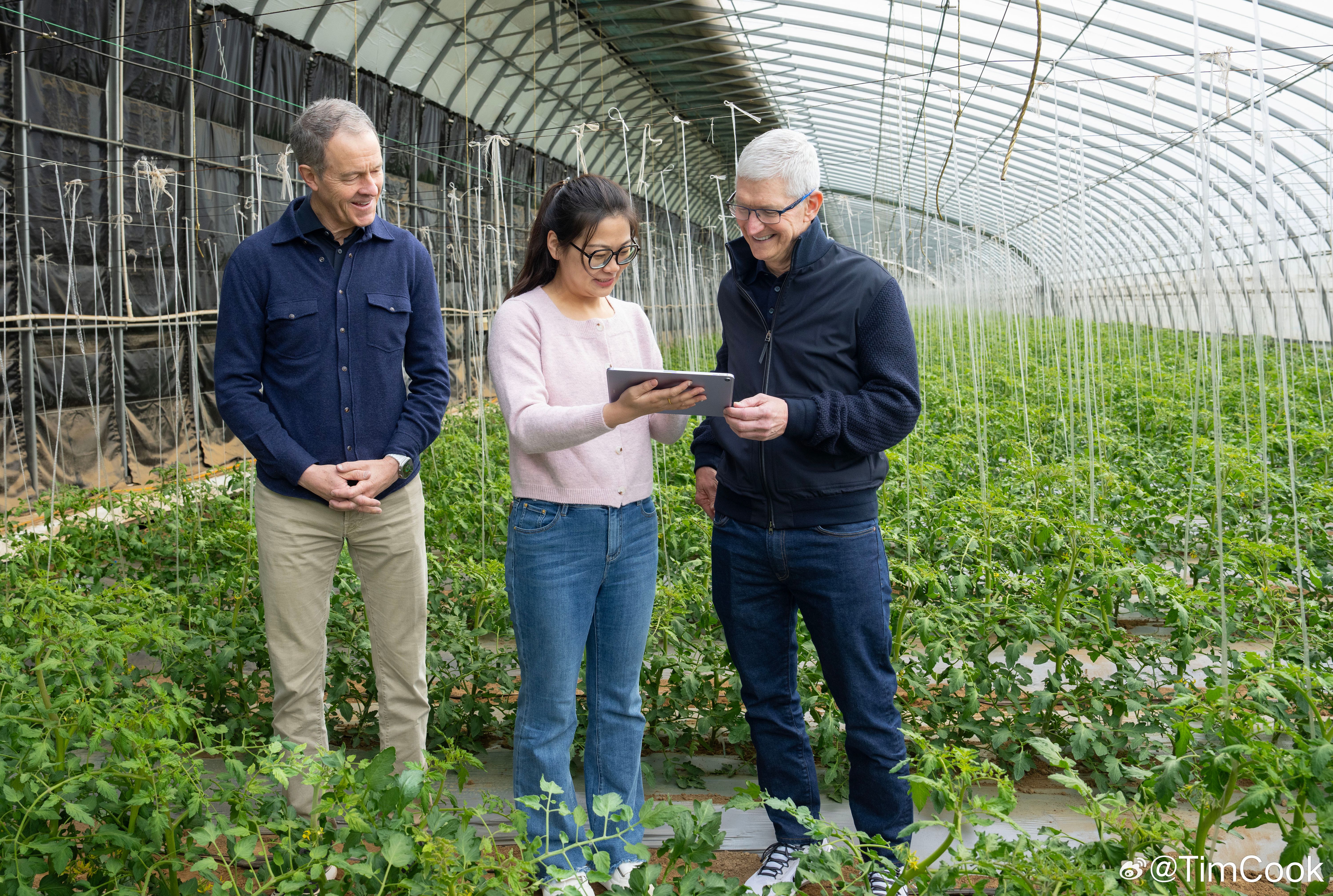 photo of Apple CEO Tim Cook and COO Jeff Williams Visiting China image