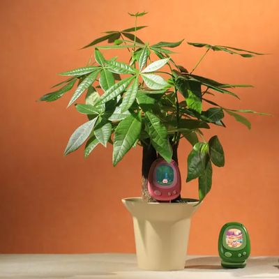 ces 2026 senso plant sensor