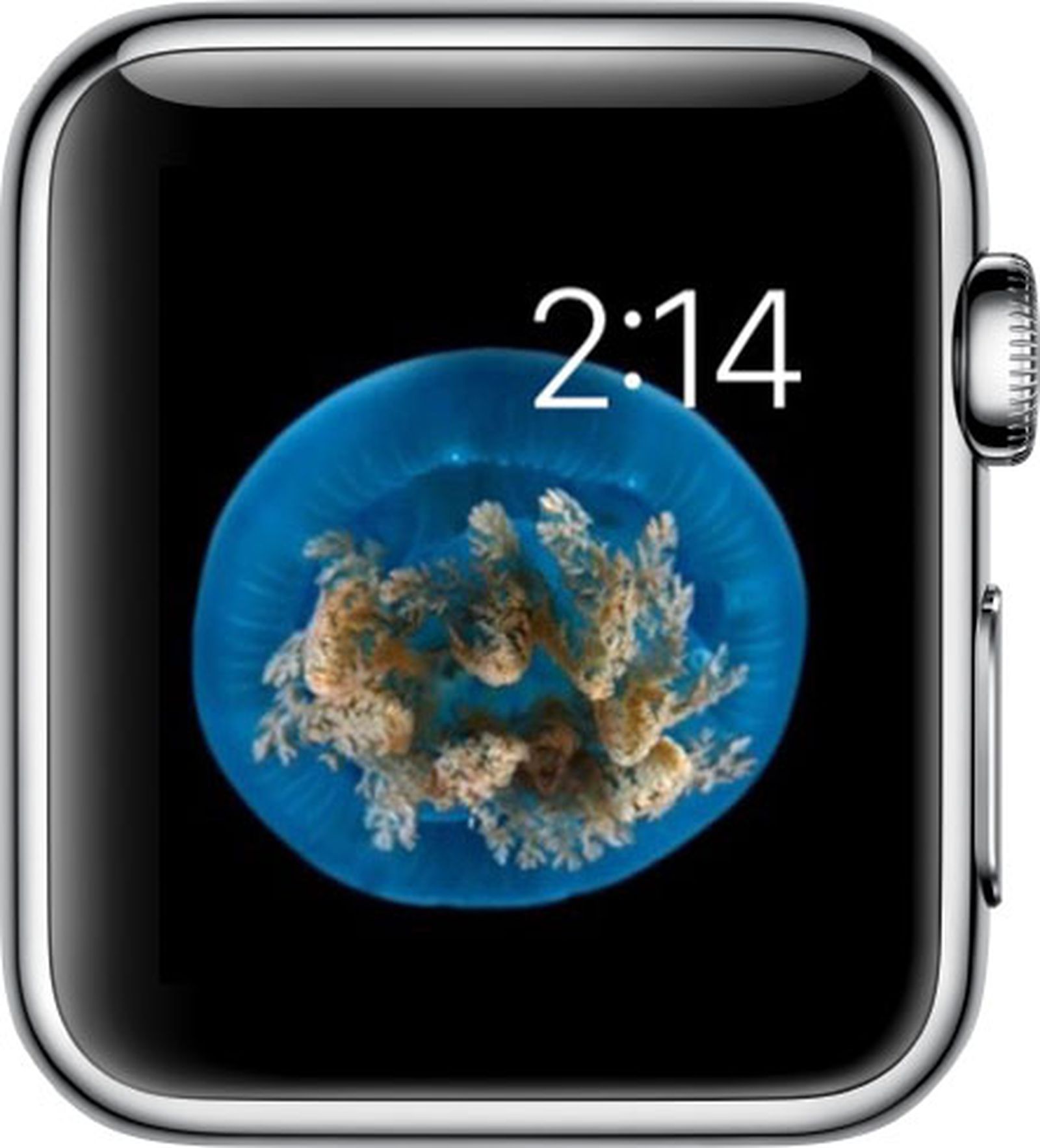 10 Things the Digital Crown and Side Button Do on Apple Watch MacRumors