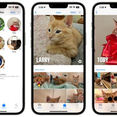 ios 17 pets photos