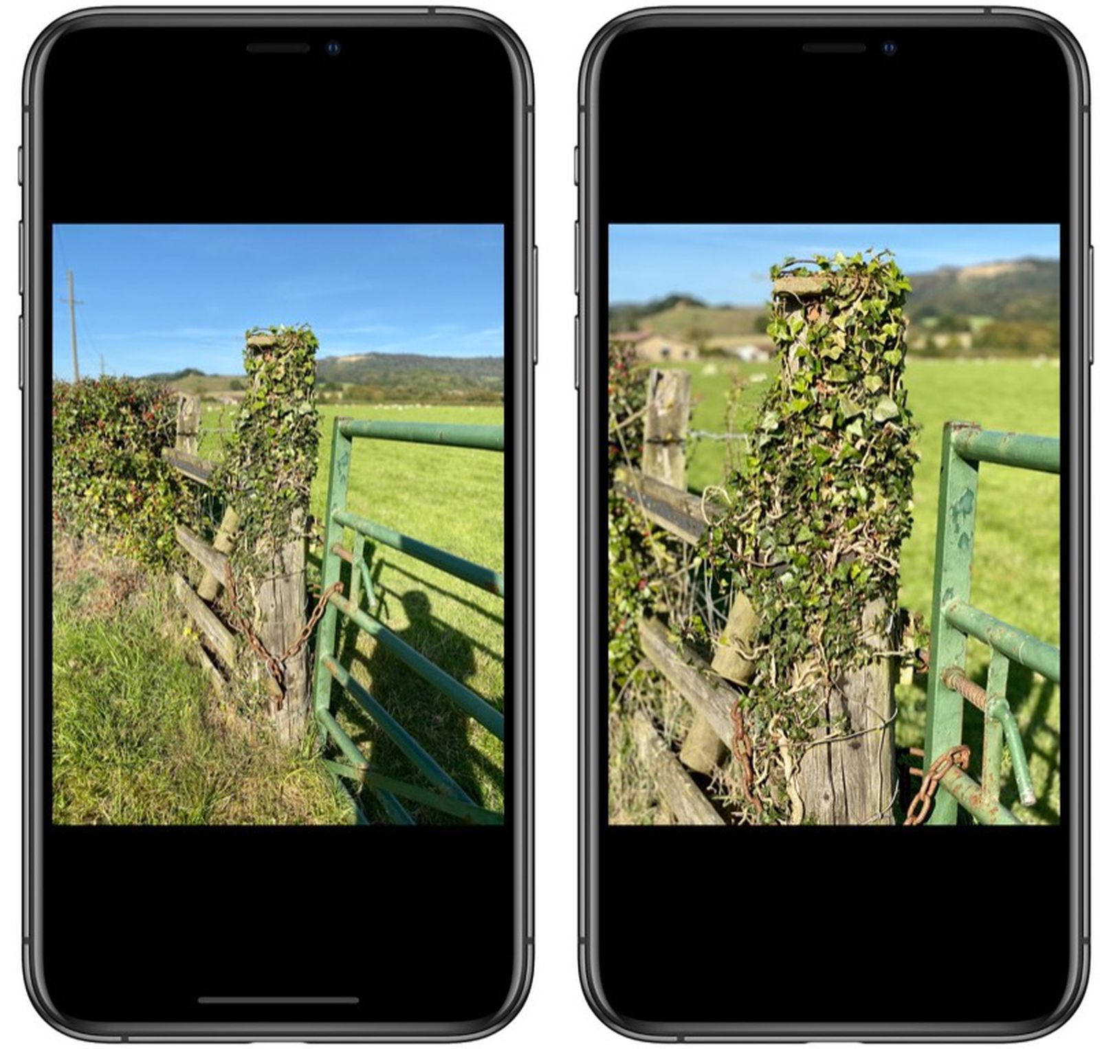 How To Switch Focal Lengths In Portrait Mode On Iphone 11 Pro Macrumors