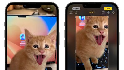 L’app Foto in iOS 17 presenta un pulsante di ritaglio con un tocco quando ingrandisci