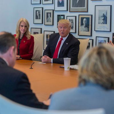 Donald Trump NYT