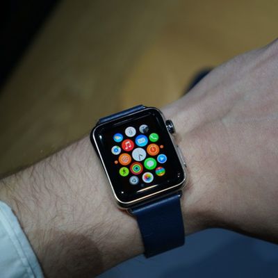 thevergewatch