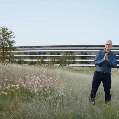 unleashed tim cook