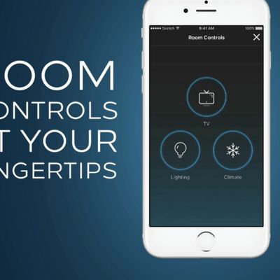 MacRumors content image
