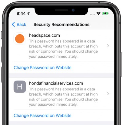 Safari iOS 14 Guide: Privacy Report, Built-In Translation, Compromised Password Alerts and More