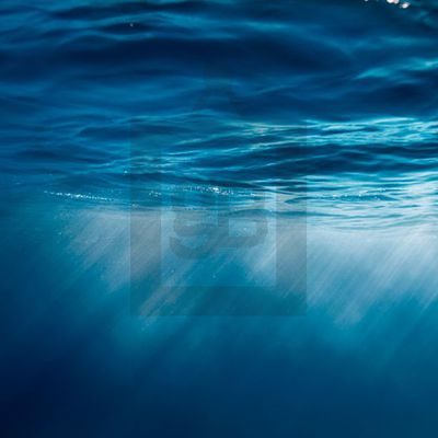 MacRumors content image