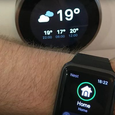 Nest apple watch