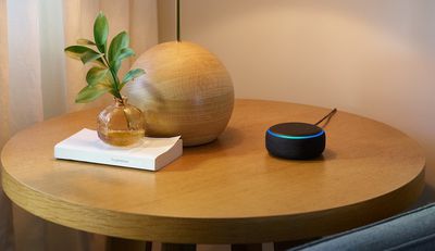 new echo dot