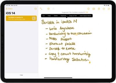 ipados14scribblecopyastext
