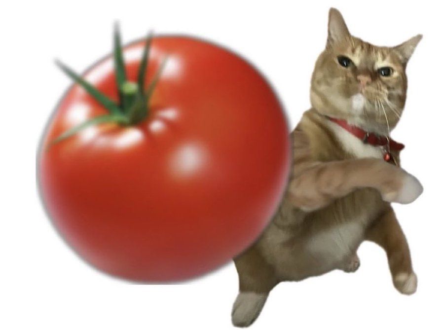 Attachment Image
