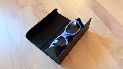 satechi findall glasses case 2