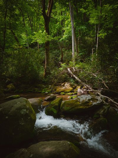 iphone 18 pro photo example stream
