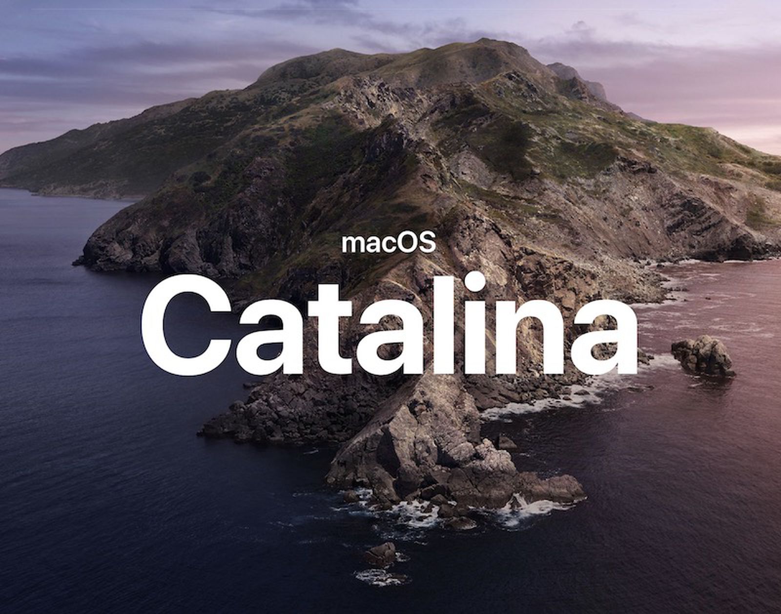 update to macos catalina