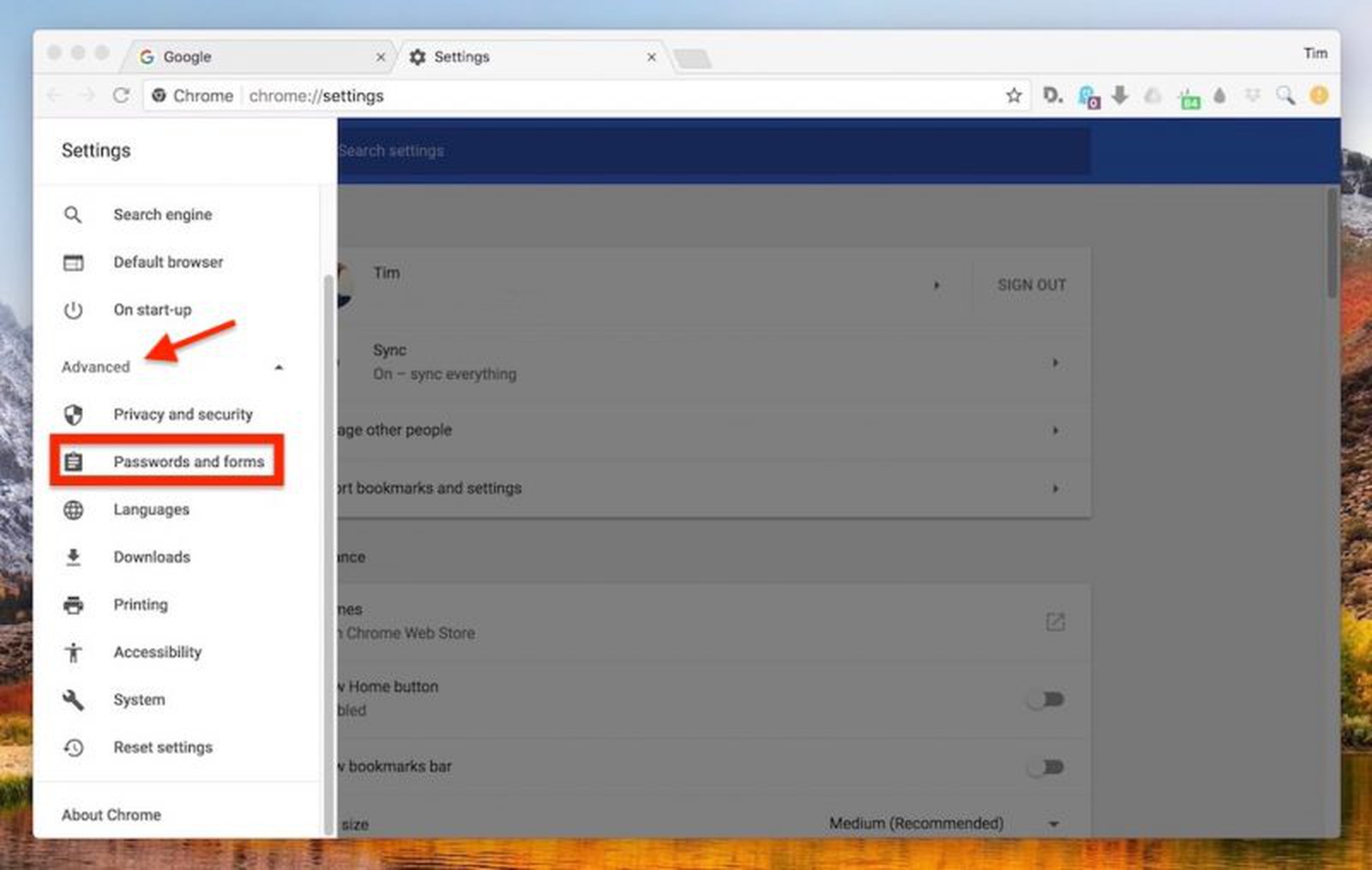 export save passwords in chrome in a file