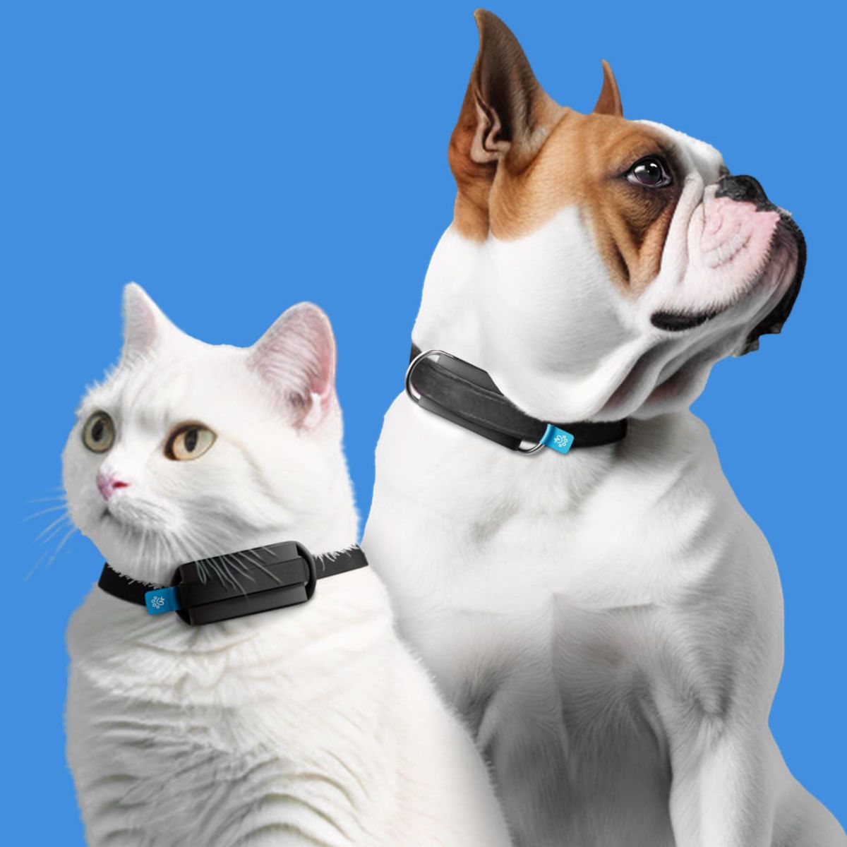 Invoxia Pet Tracker - Activity monitoring and GPS area tracking for pets