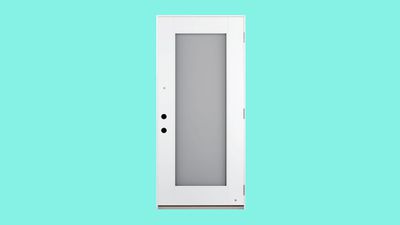 home depot smart door