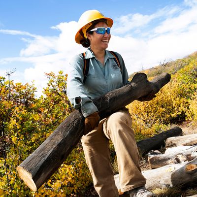 Apple national parks 2022 Mesa Verde Conservation