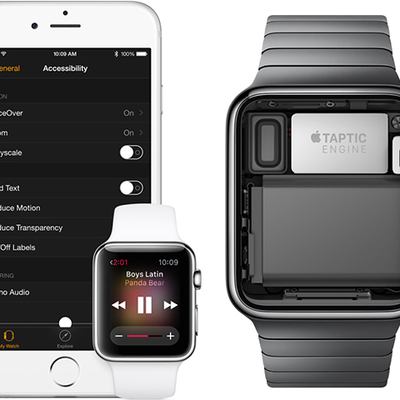 Apple Watch Accessibility