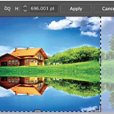 adobeillustratorcrop