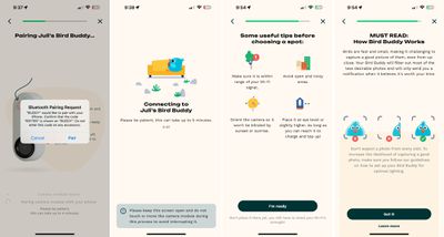 bird buddy setup process