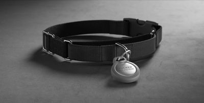 Nomad Announces \'Rugged Keychain\' for AirTag, Includes Add-On Engraving  Option for Pet ID Tags - MacRumors