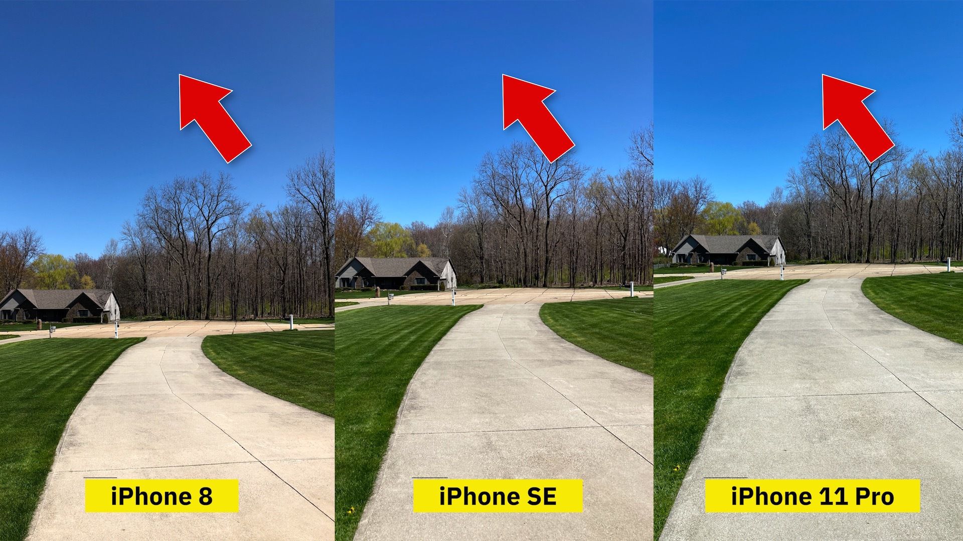 Camera Comparison 2020 iPhone SE vs. iPhone 8 and iPhone 11 Pro