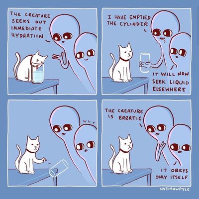 nathan pyle comic 1